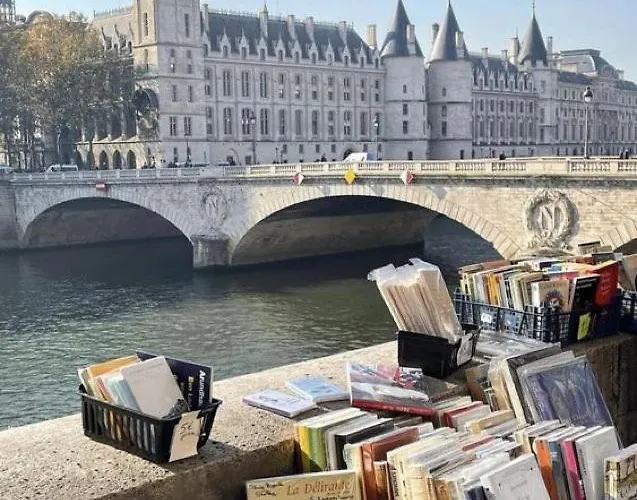 Superbe T3 Terrasse Coeur De Historique